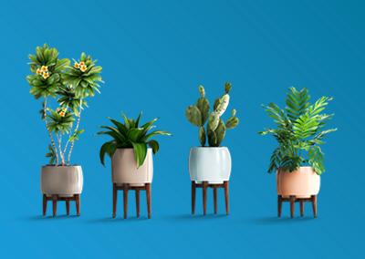 A group of potted plants.